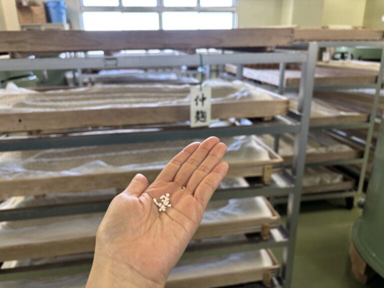 新潟県魚沼市　緑川酒造