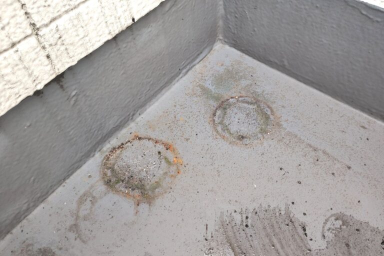 掃除前のベランダ