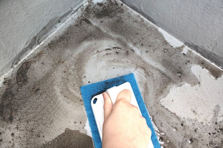 ベランダ床のこすり洗い