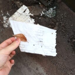 ベランダのごみ