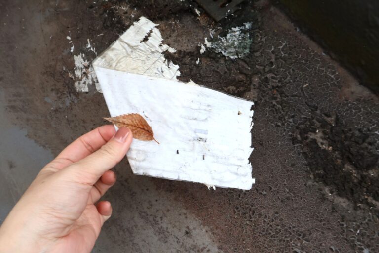 ベランダのごみ