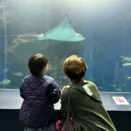 「アクアリウム品川」　お孫さんと松本さん