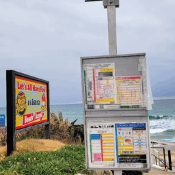 バス停「PALM BEACH」　