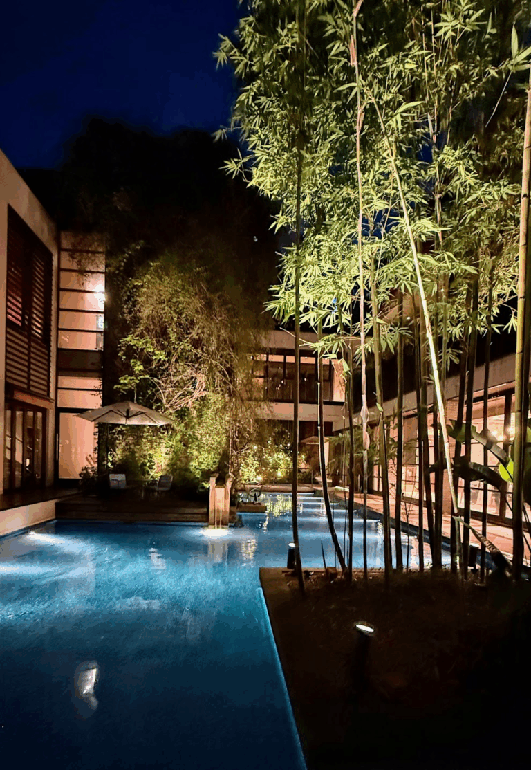 夜のライトアップされた中庭