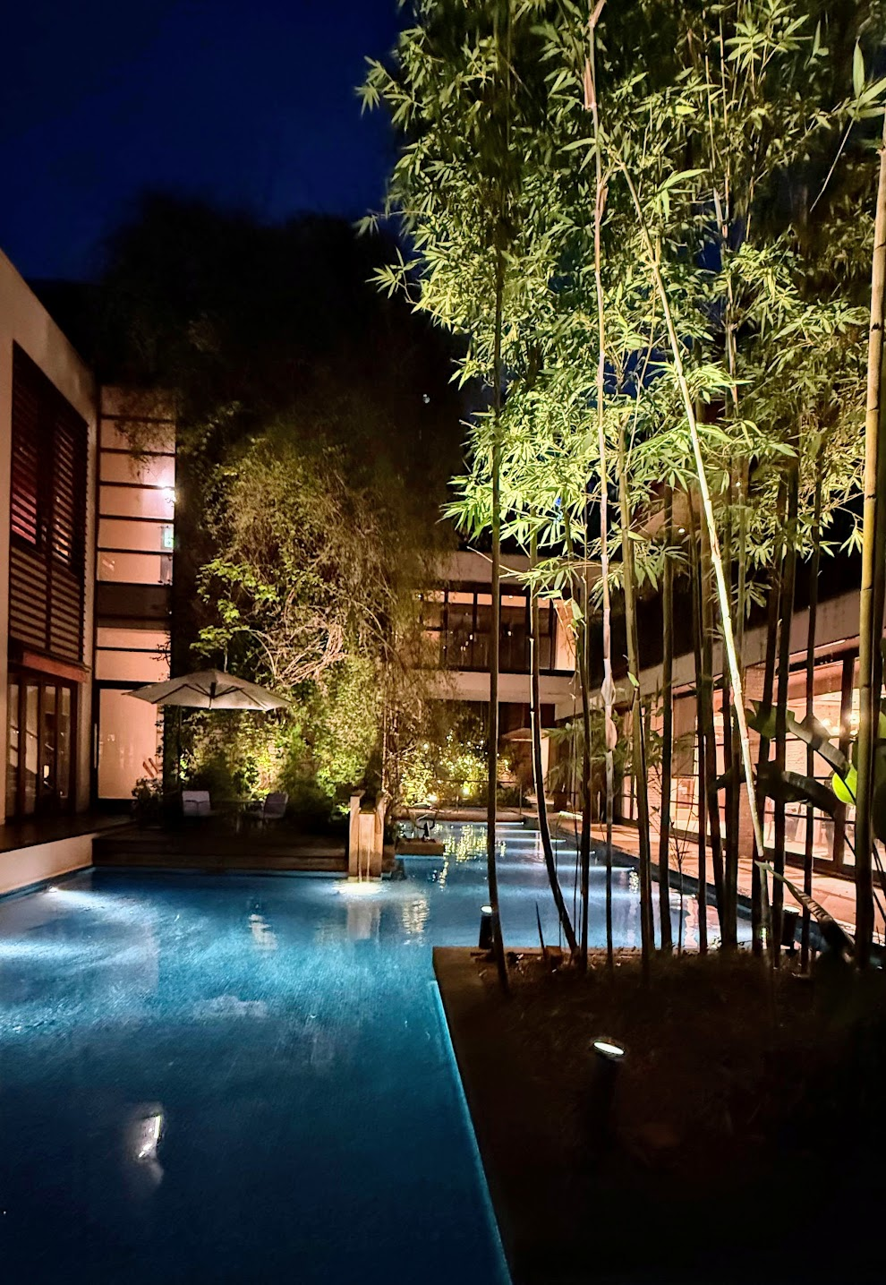 夜のライトアップされた中庭