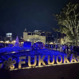 天神中央公園イルミネーション