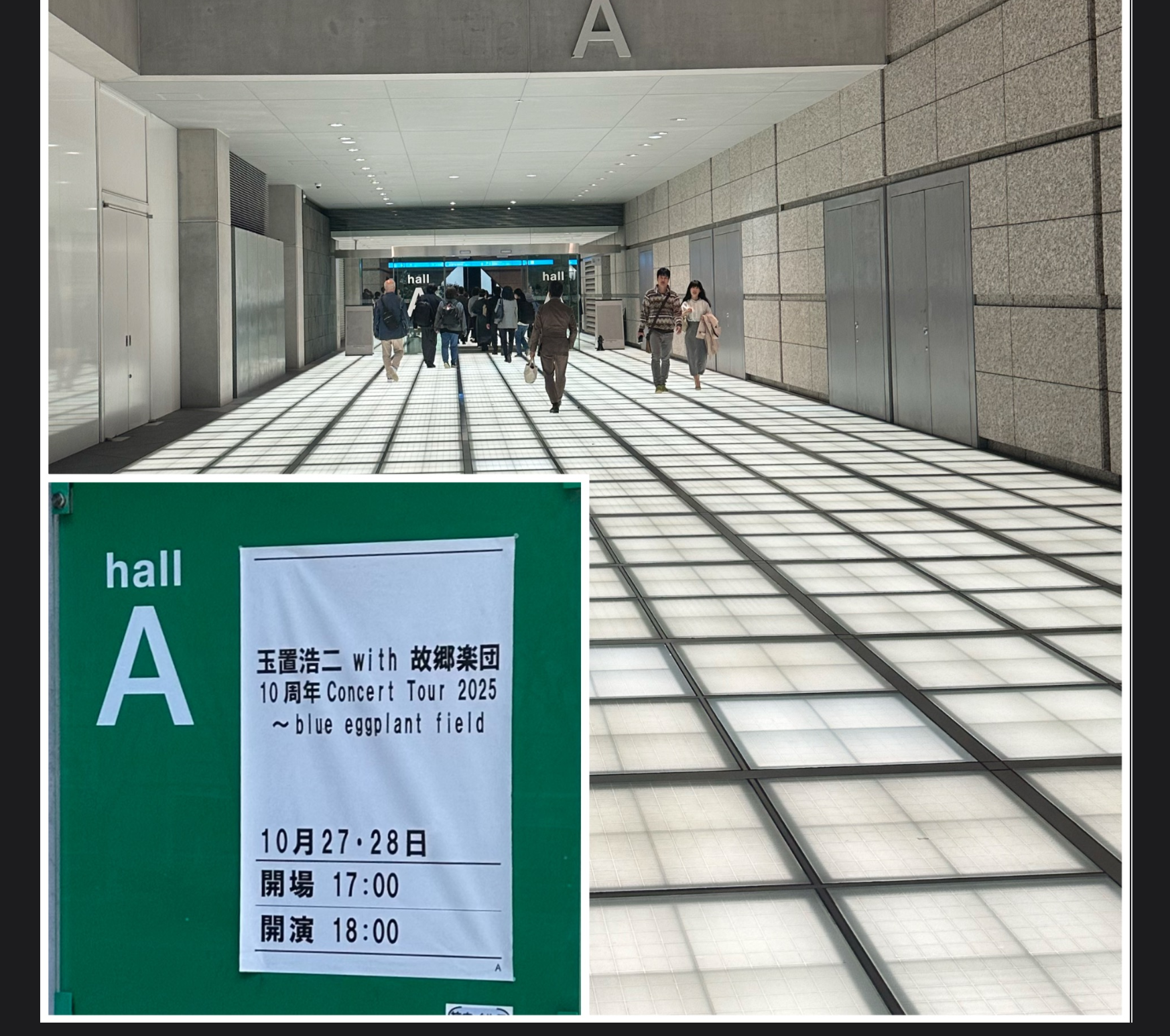 kotokoさん_玉置浩二コンサート会場