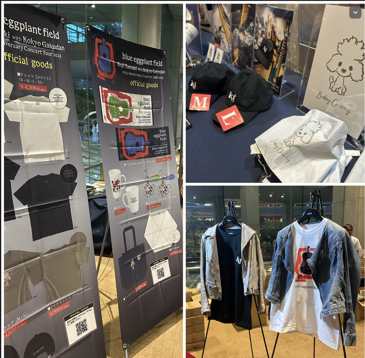 kotokoさん_玉置浩二コンサートグッズ