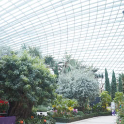 現代的な建築のフラワードーム。