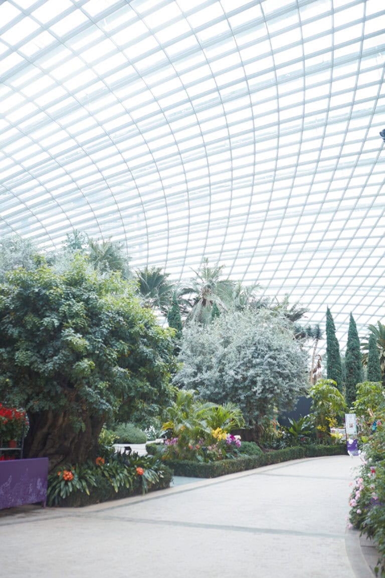 現代的な建築のフラワードーム。