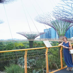 高さ25～50ｍのスーパーツリー。