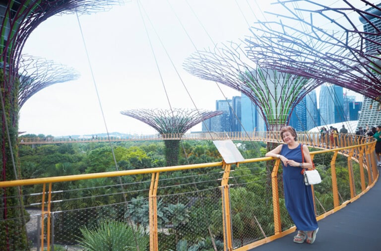 高さ25～50ｍのスーパーツリー。