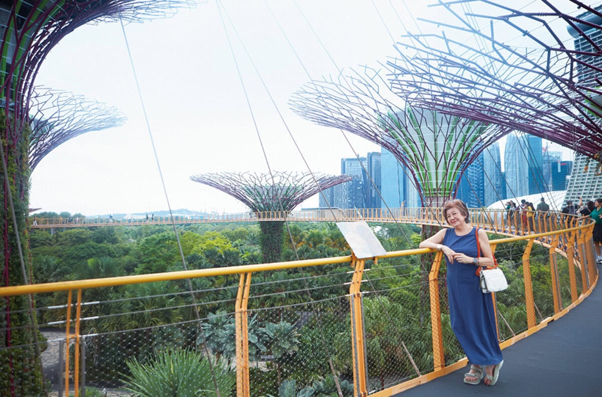 高さ25～50ｍのスーパーツリー。