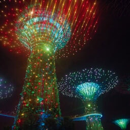 日が落ちると光と音のショー「ガーデン・ラプソディ」が幻想的な眺めを織りなす。