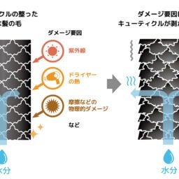 キューティクルを整えてパサつき髪にツヤ復活！