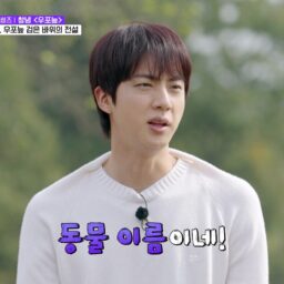 BTS JINの出演は注目