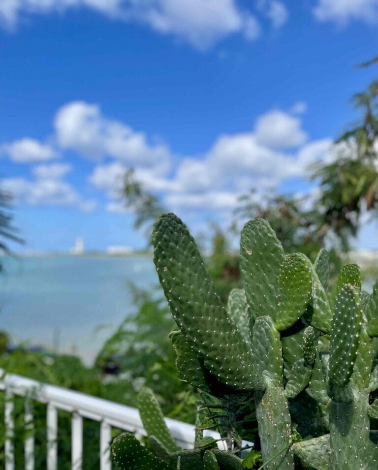 鈴木恵さんの沖縄旅行