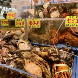 色とりどりの魚介類