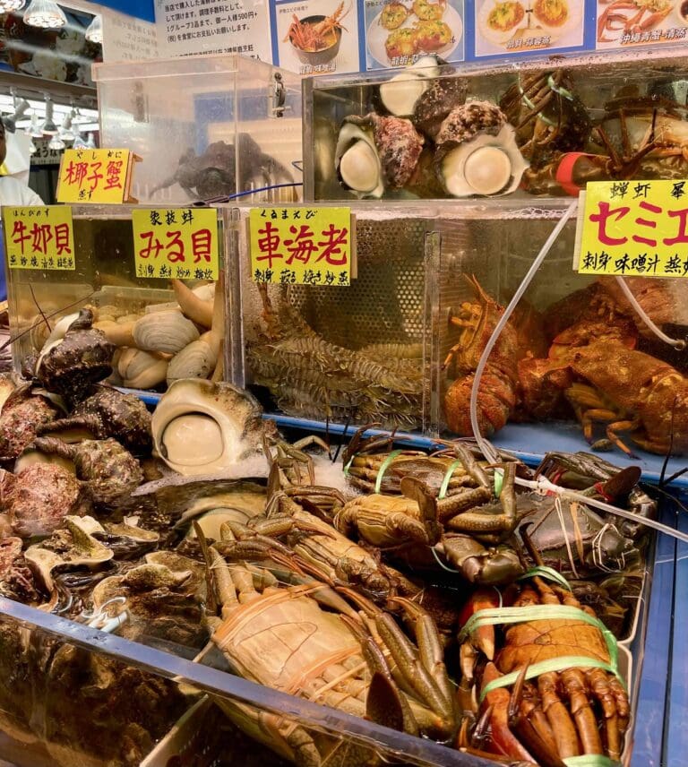 色とりどりの魚介類