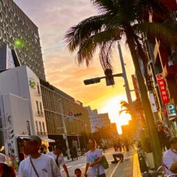 沖縄国際村の様子