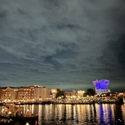 YUMIKOさん12月ブログ＿ディズニーシー_夜景