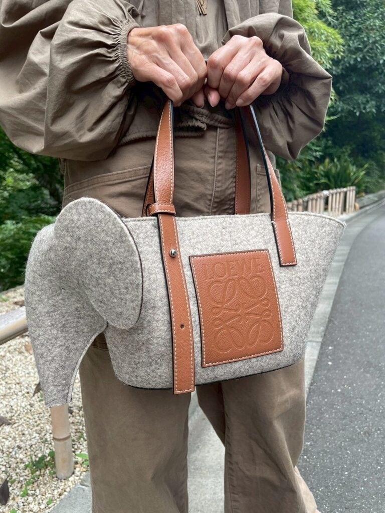 LOEWEのバッグ