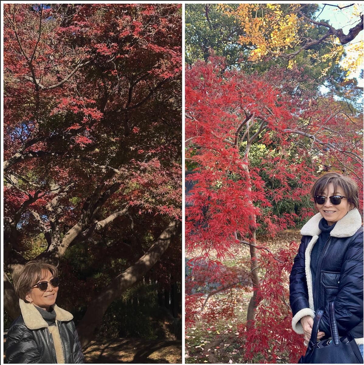 kotokoさん12月ブログ_紅葉と記念写真を