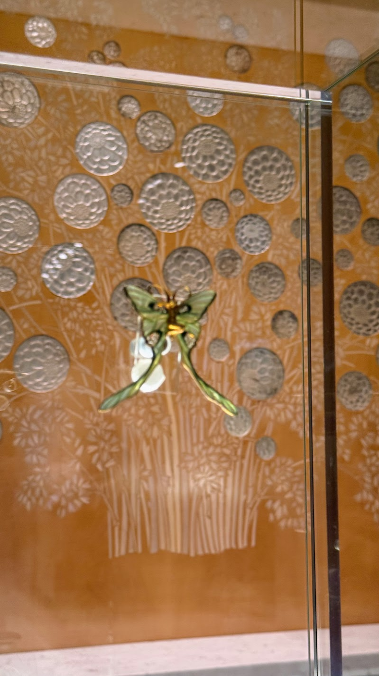 ラリック美術館アート鑑賞　15：15〜16：05（50分）