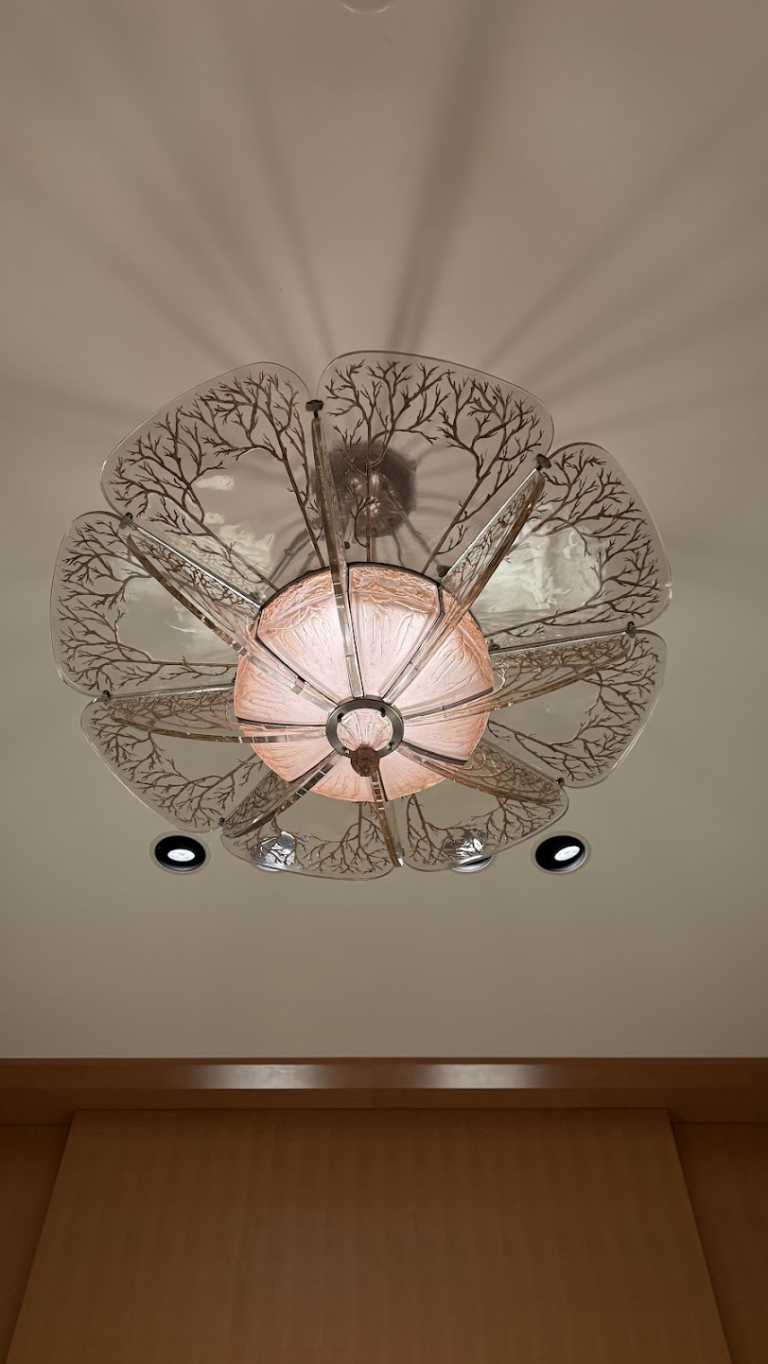 撮影許可の場所：香水瓶・壁面・天井照明（動画は不可です）