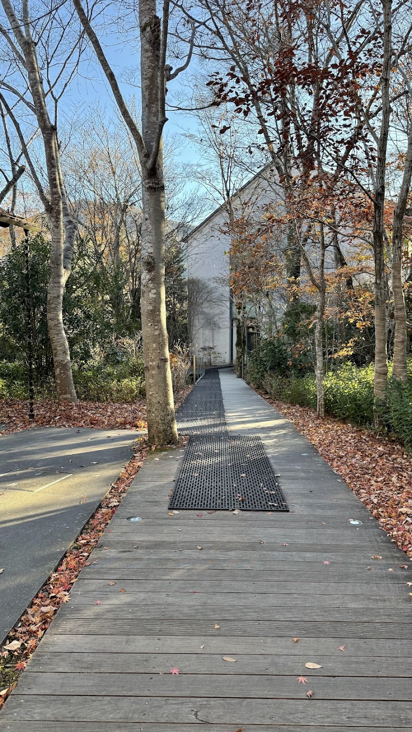 箱根の山にかこまれた敷地内は、散策道もあります