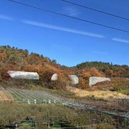 新幹線の車窓からの風景