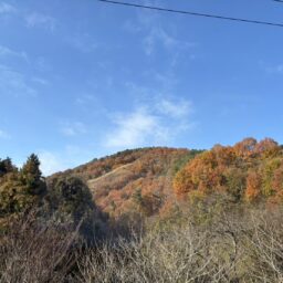 新幹線の車窓からの風景