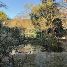 美術館内部から見る　池の風景：まるでモネの睡蓮の庭のよう。