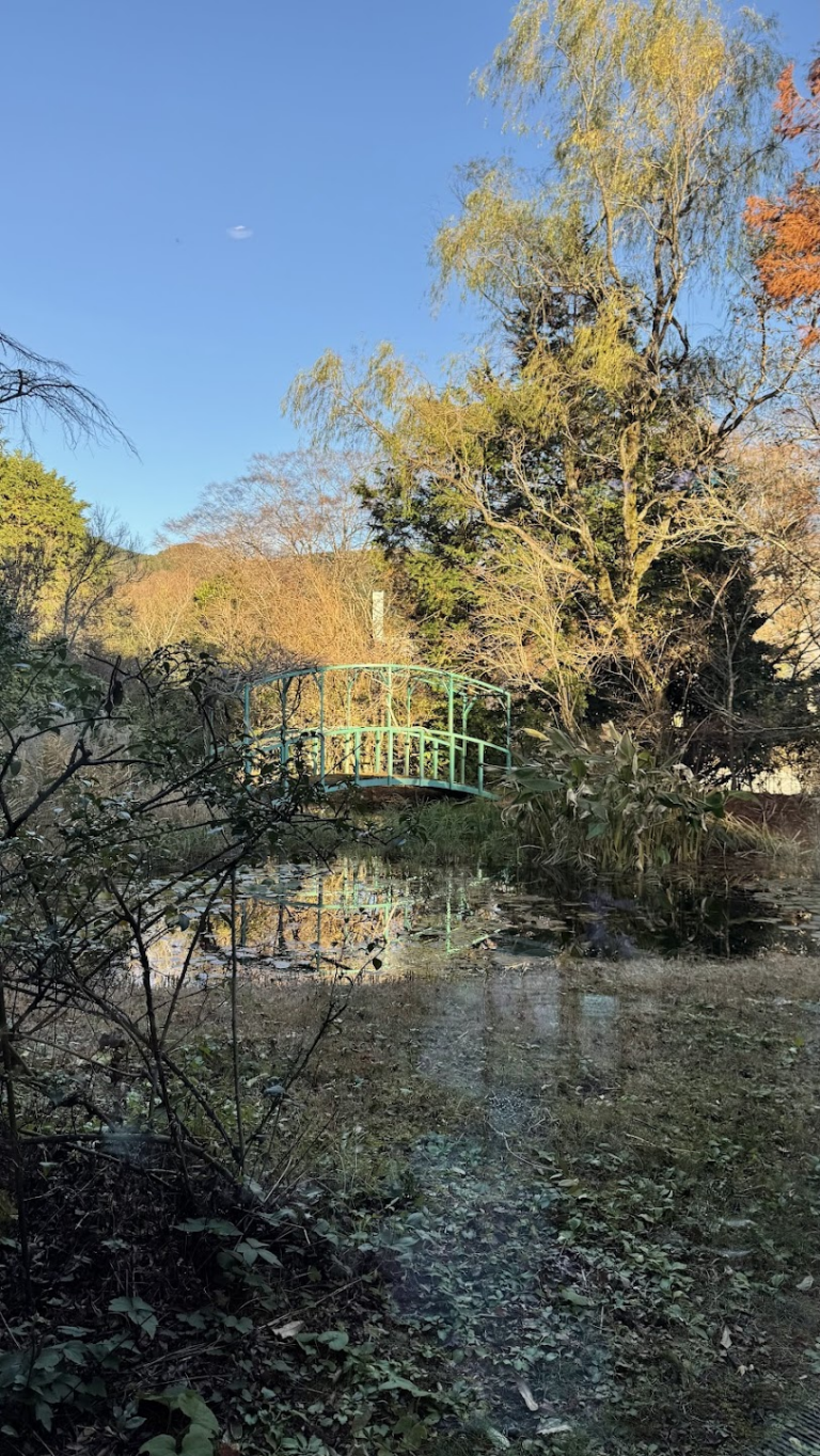 美術館内部から見る　池の風景：まるでモネの睡蓮の庭のよう。