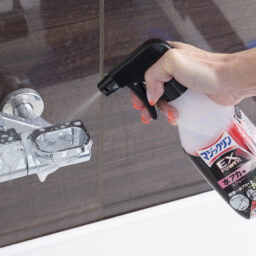 簡単大掃除　お風呂の蛇口