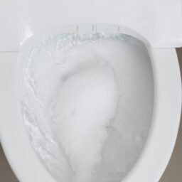 トイレ洗剤を流すところ