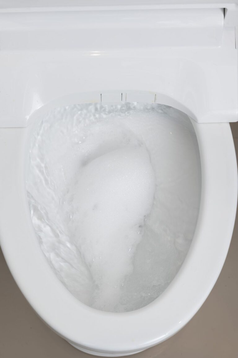 トイレ洗剤を流すところ