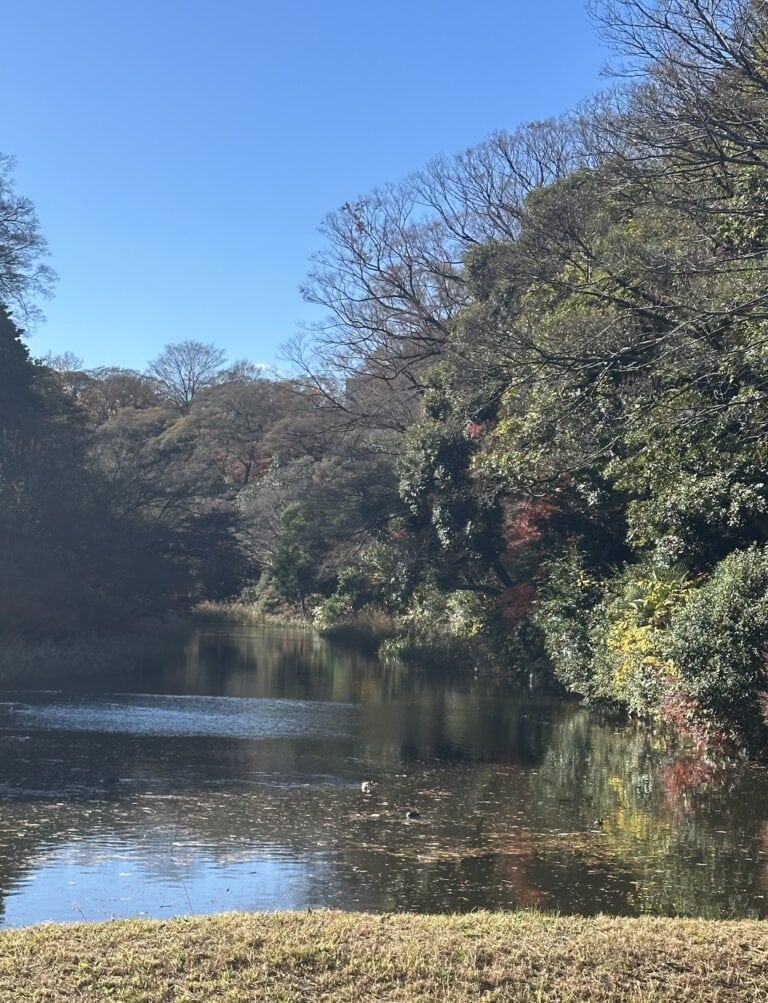 kotokoさん12月ブログ_道灌堀