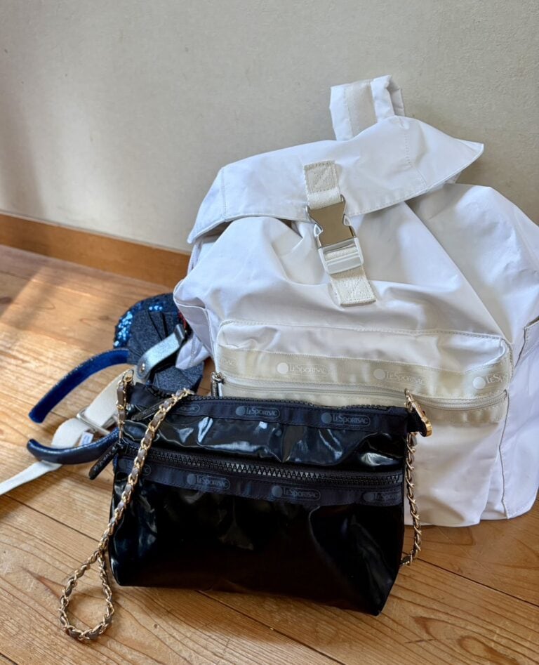 YUMIKOさん12月ブログ_ディズニーシー_持ち込みバッグ