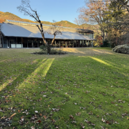 森の中に佇む美術館