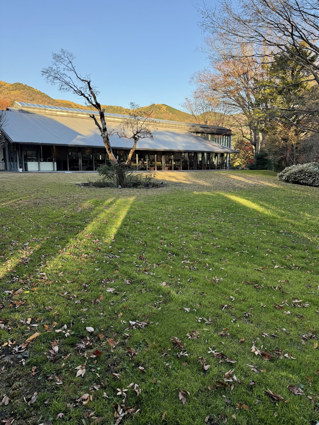 森の中に佇む美術館