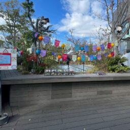 メッセージ企画