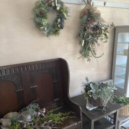 「苔丸」クリスマスリース