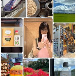 季節ごとの思い出の一部