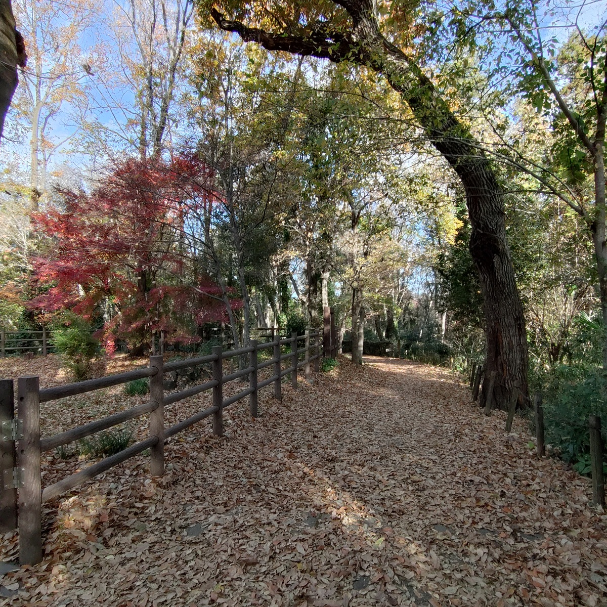 礒部さん1月ブログ①
