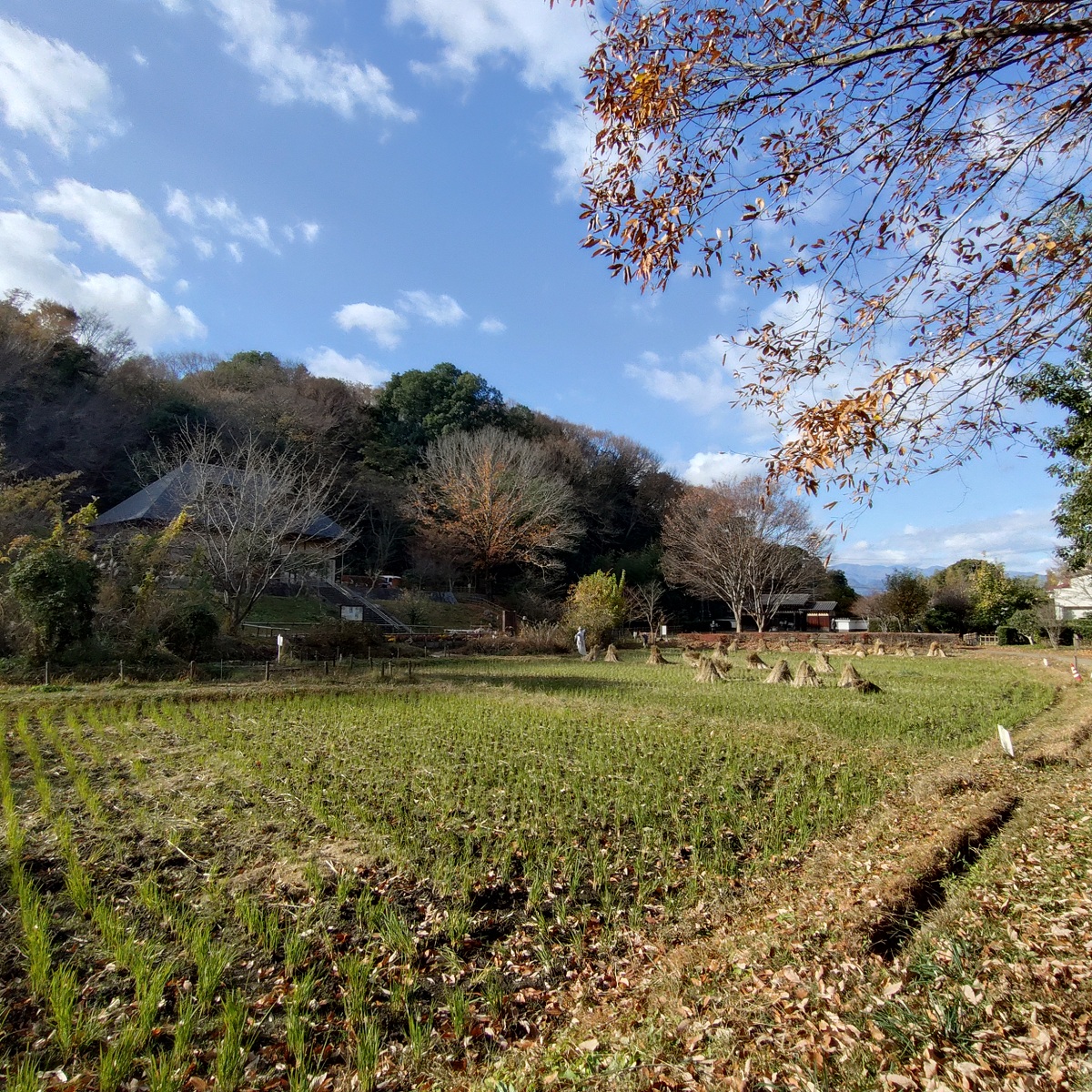 礒部さん1月ブログ②