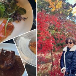 kotokoさん１２月ブログサムネイル