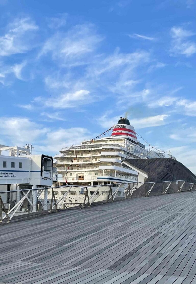 鈴木恵さんのクルーズ船旅①