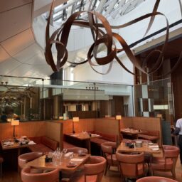 豊田さん12月ブログ①