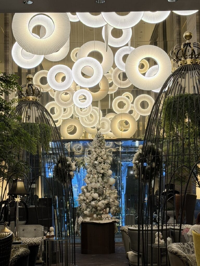 豊田さん12月ブログ⑦